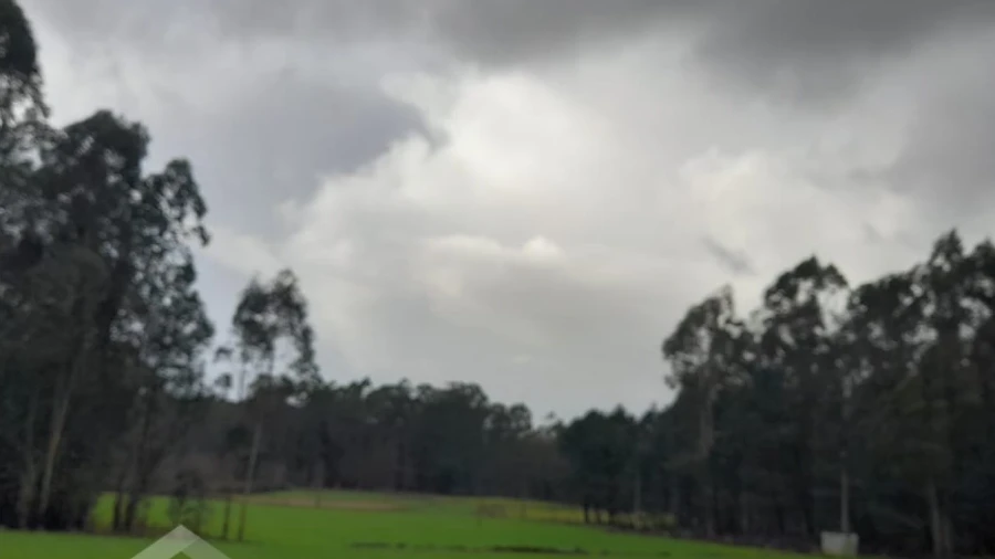 Terreno Agricola ou Rústico para Venda em Gilmonde