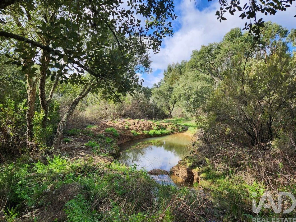 Moradia T3 para Venda em Sarzedas Foto 38