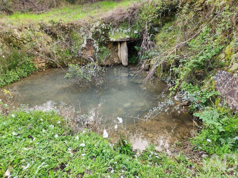 Moradia T3 para Venda em Sarzedas Foto 37