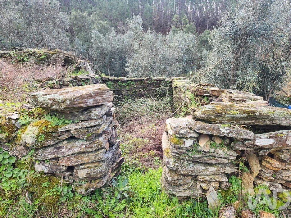 Moradia T3 para Venda em Sarzedas Foto 26