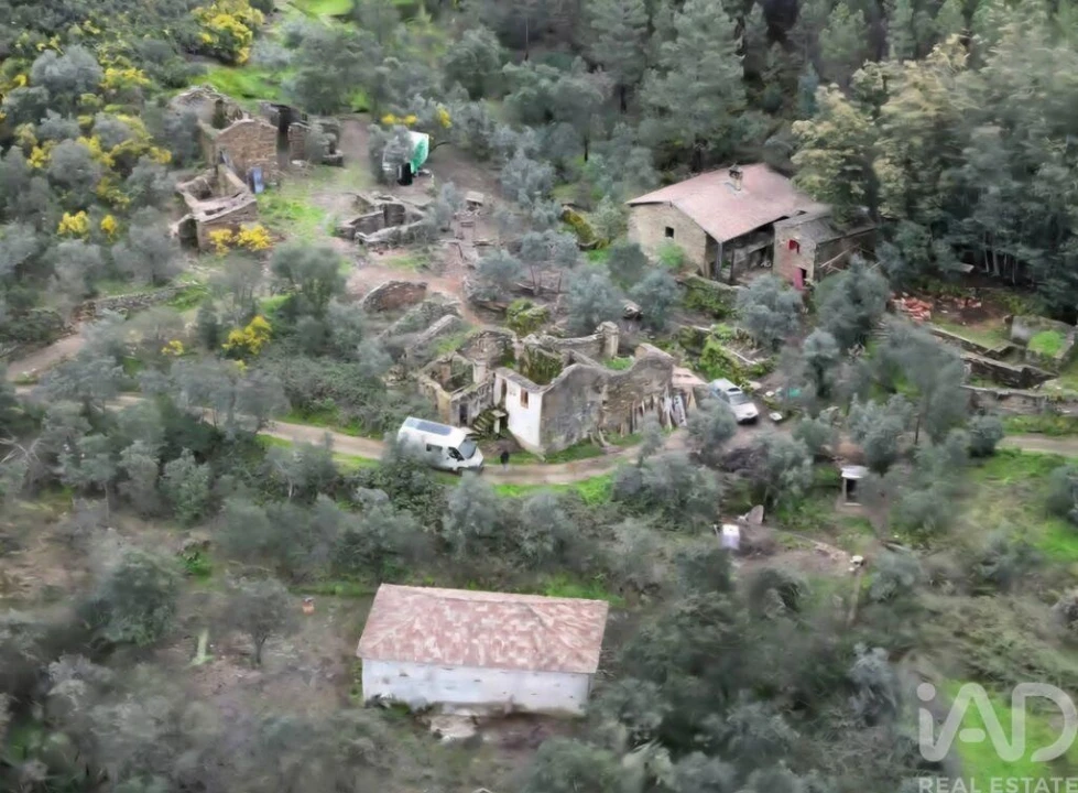 Moradia T3 para Venda em Sarzedas Foto 1