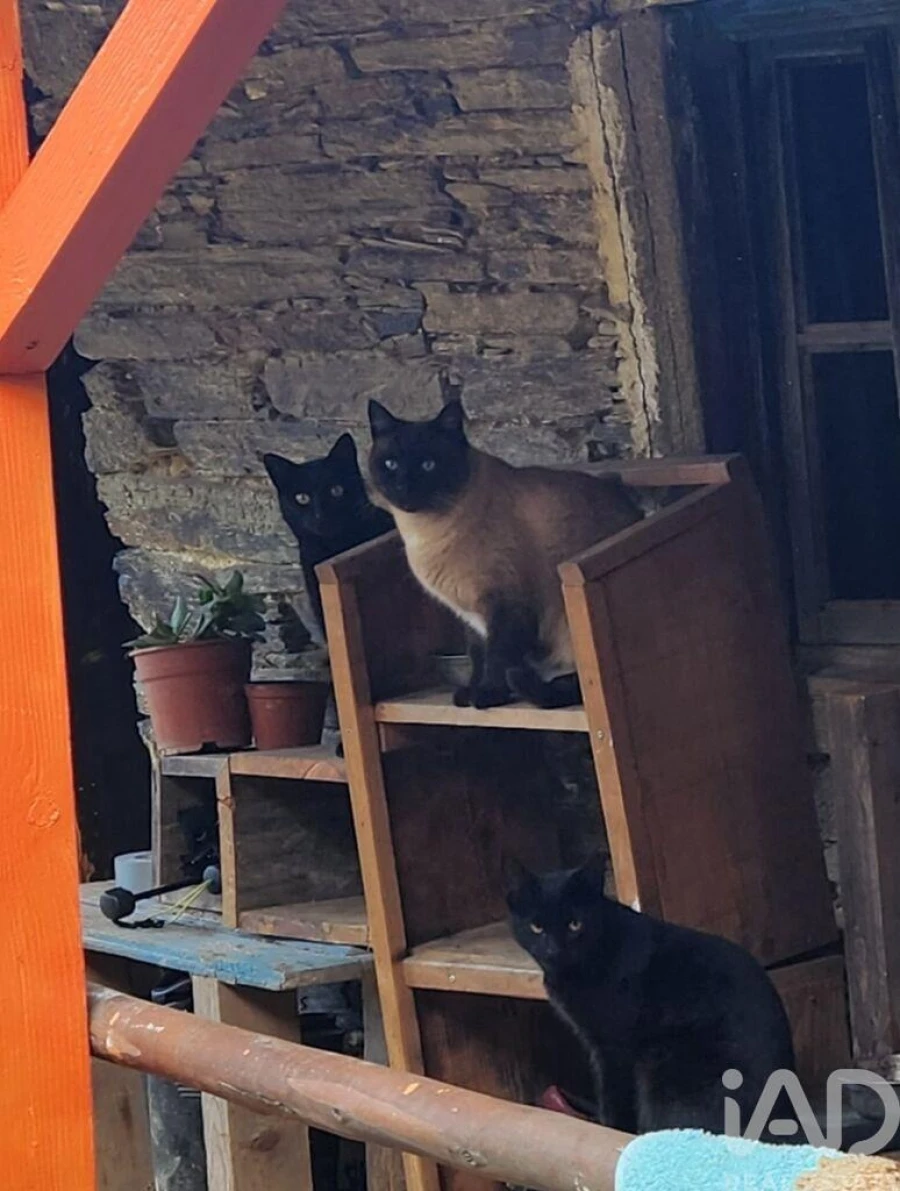 Moradia T3 para Venda em Sarzedas Foto 14