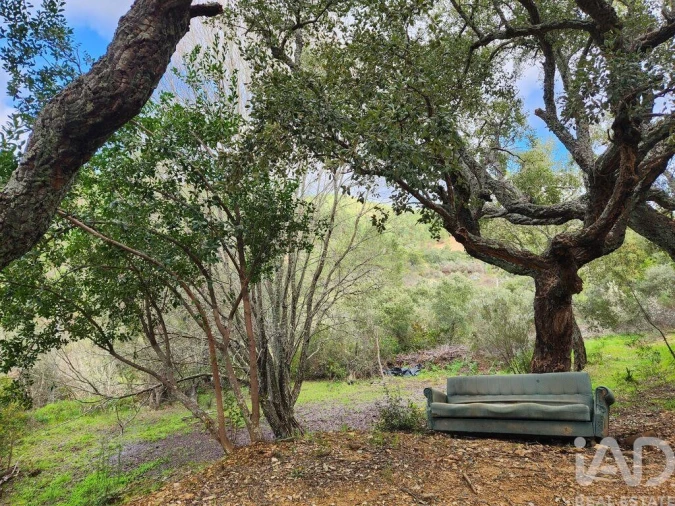 Moradia T3 para Venda em Sarzedas Foto 27