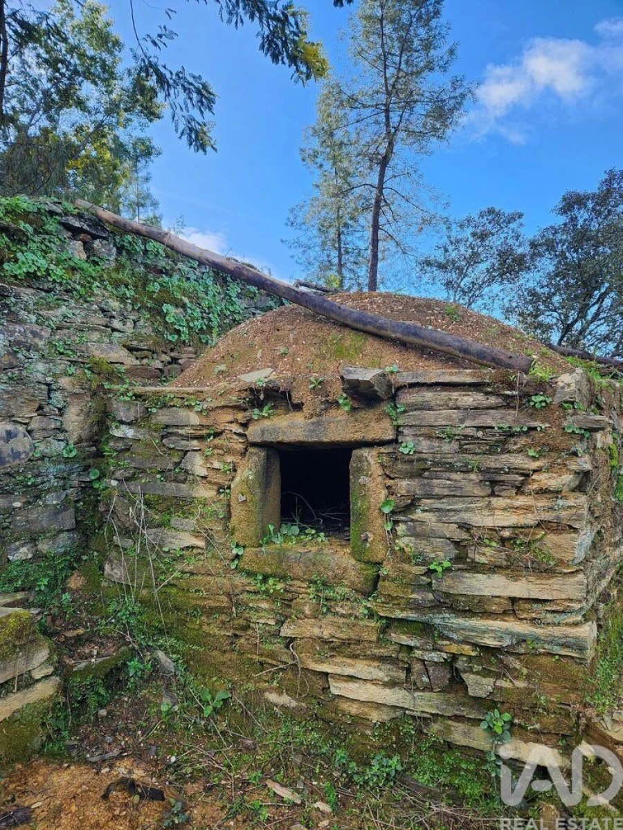 Moradia T3 para Venda em Sarzedas Foto 19