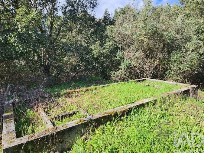 Moradia T3 para Venda em Sarzedas Foto 32