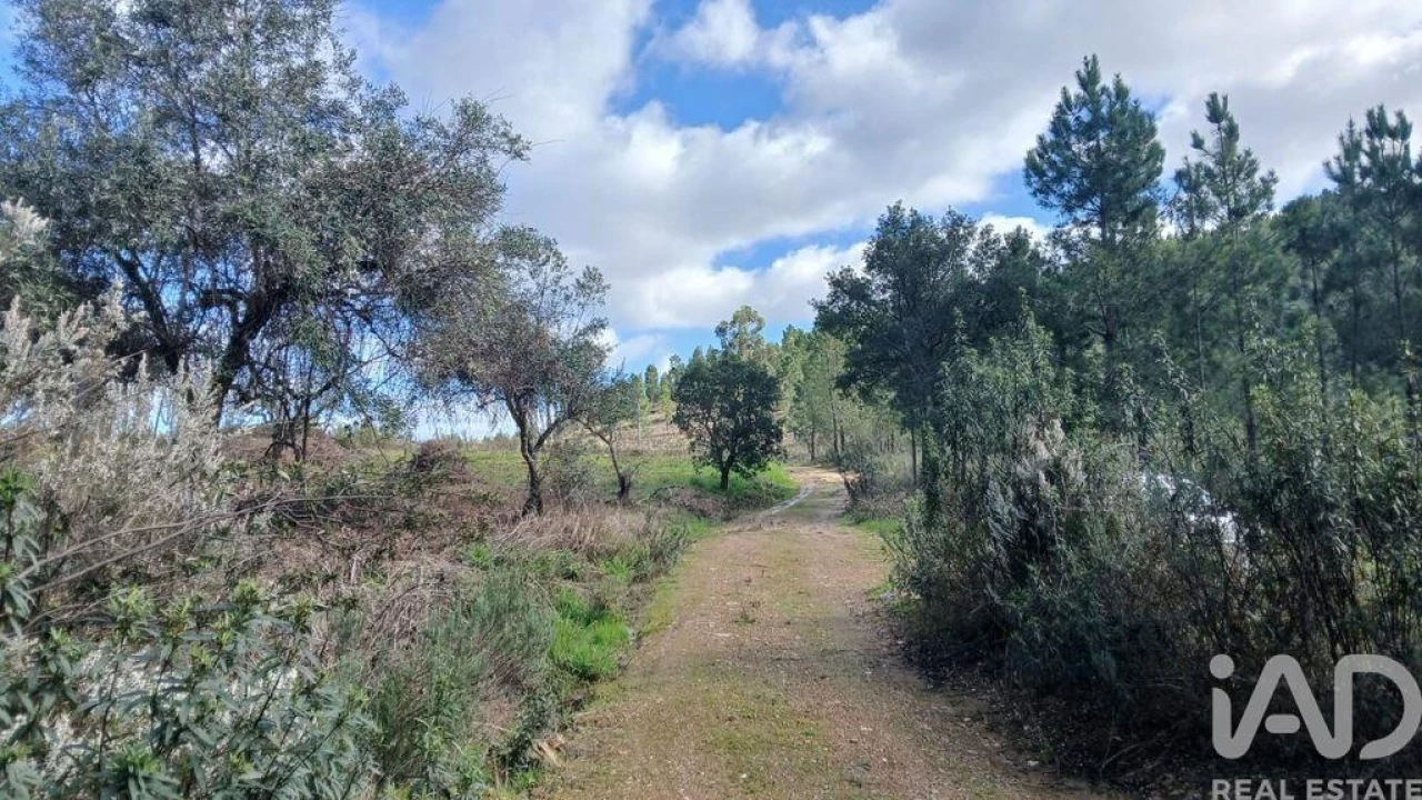 Moradia T3 para Venda em Sarzedas Foto 40