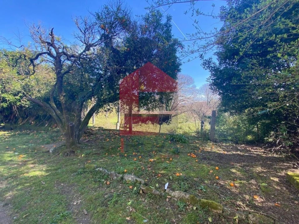 Quinta T5 para Venda em Pico de Regalados, Gondiães e Mós Foto 50