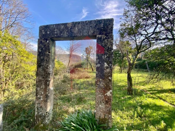 Quinta T5 para Venda em Pico de Regalados, Gondiães e Mós Foto 54
