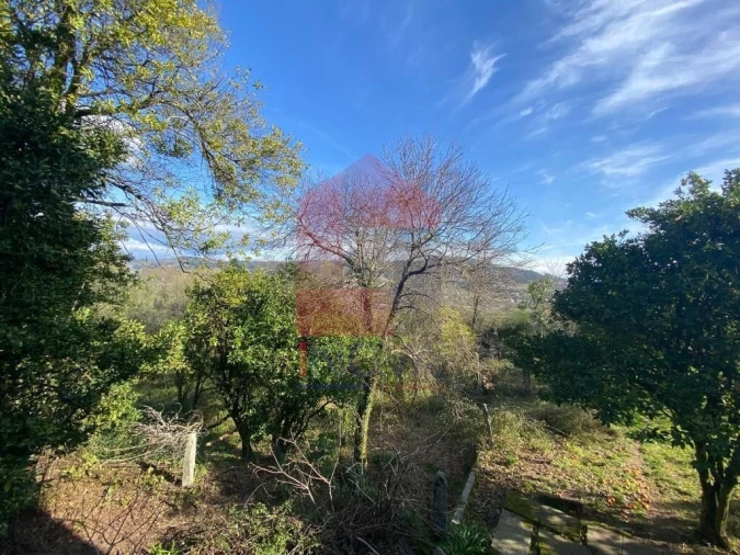 Quinta T5 para Venda em Pico de Regalados, Gondiães e Mós Foto 56