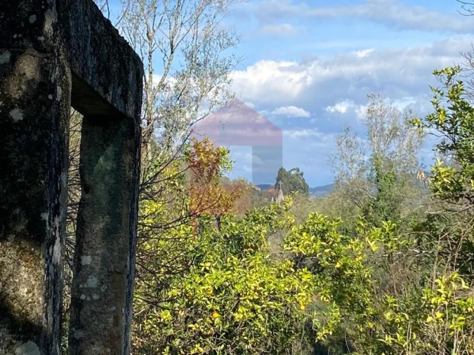 Quinta T5 para Venda em Pico de Regalados, Gondiães e Mós Foto 55
