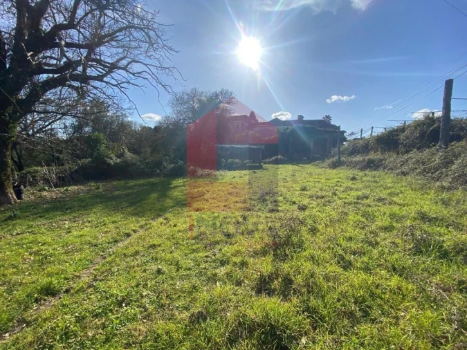 Quinta T5 para Venda em Pico de Regalados, Gondiães e Mós Foto 59