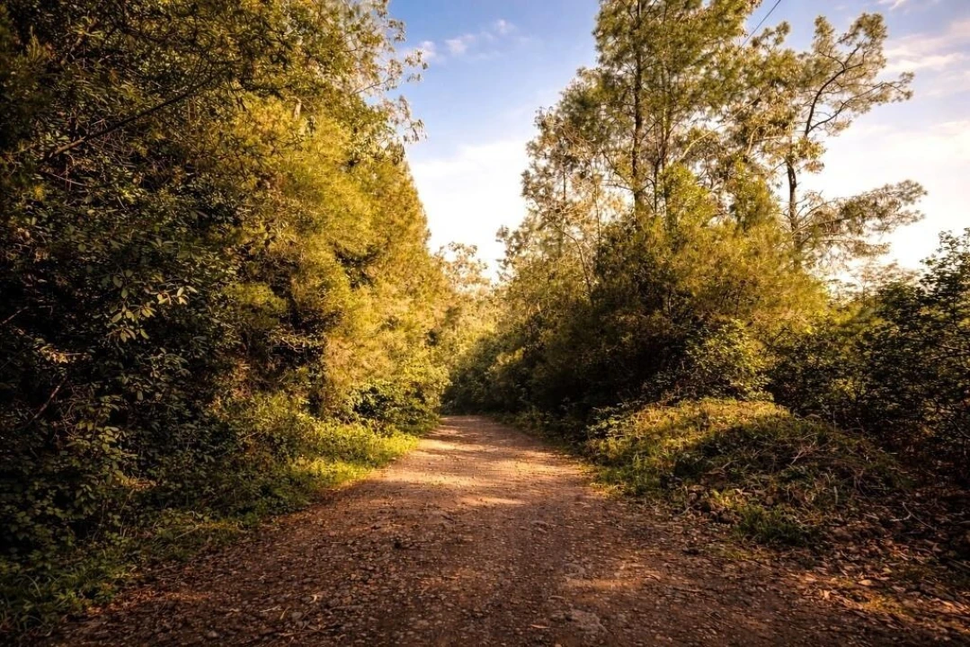 Terreno para Venda em São Vicente Foto 15