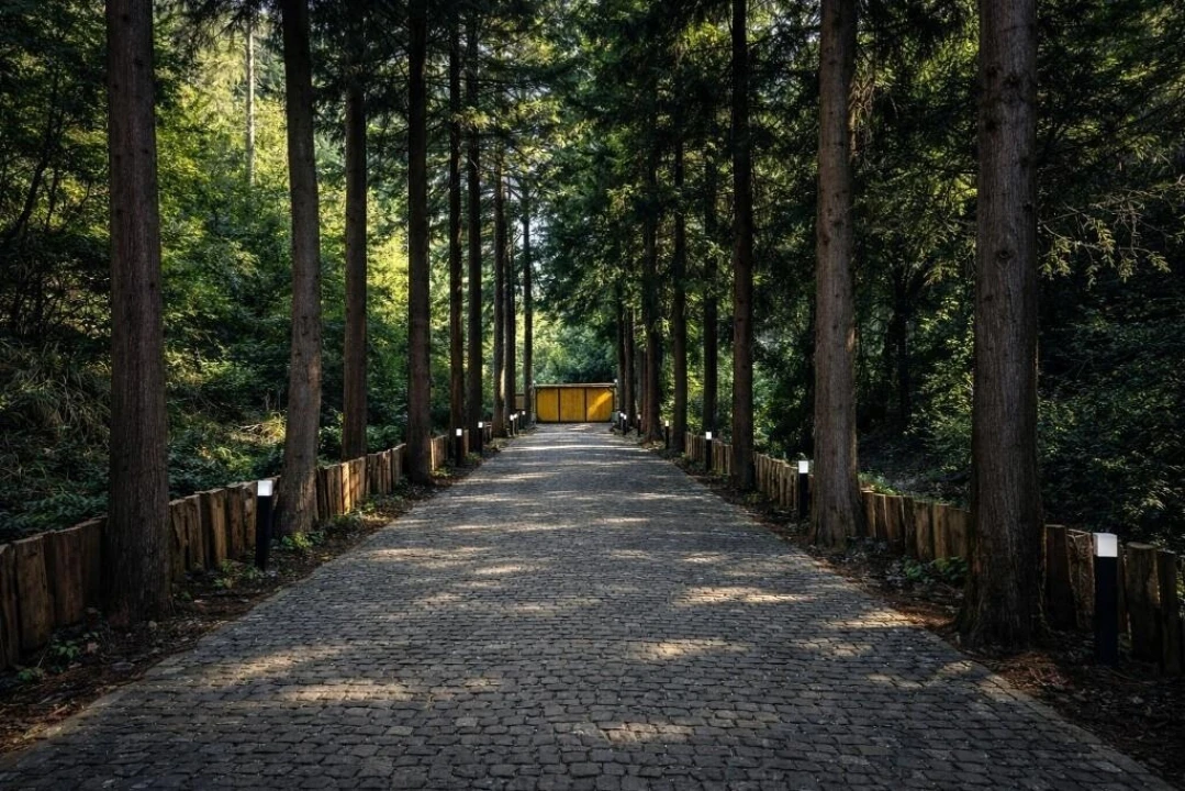 Terreno para Venda em São Vicente Foto 16