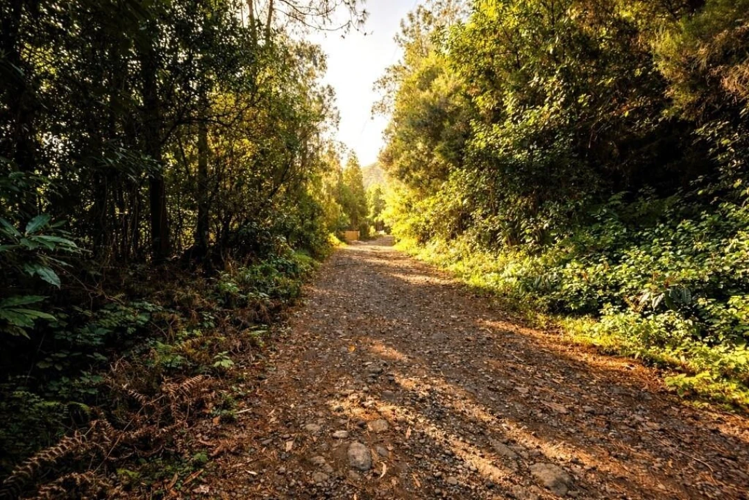 Terreno para Venda em São Vicente Foto 18