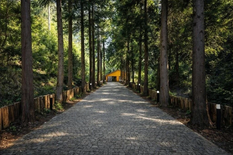 Terreno para Venda em São Vicente Foto 17