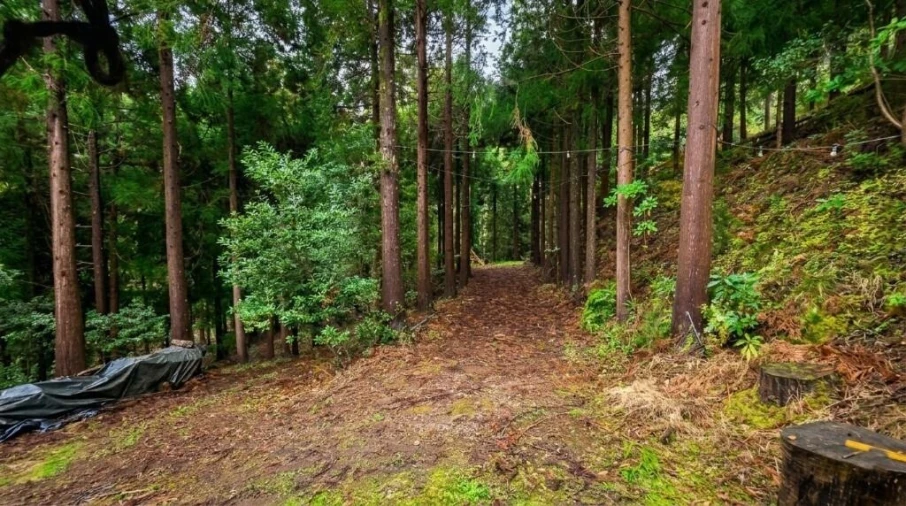 Terreno para Venda em São Vicente Foto 27