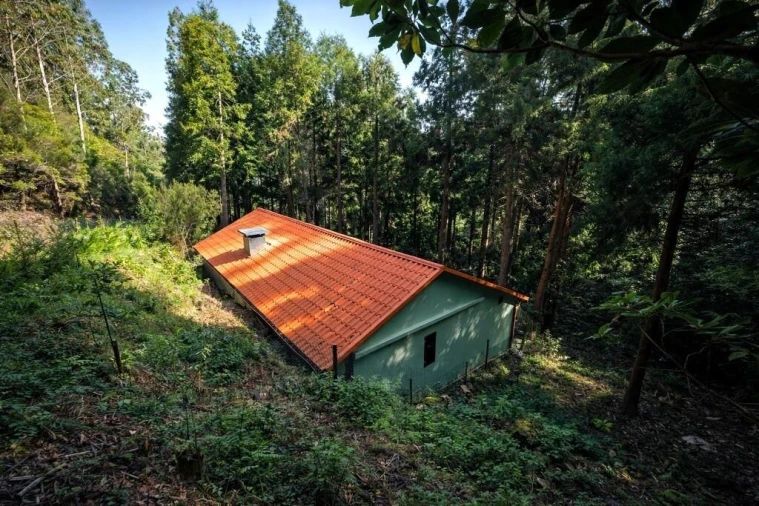 Terreno para Venda em São Vicente Foto 4