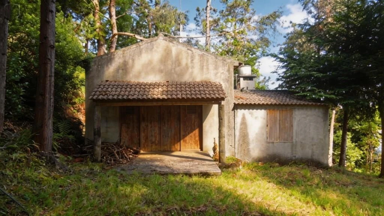 Terreno para Venda em São Vicente Foto 20