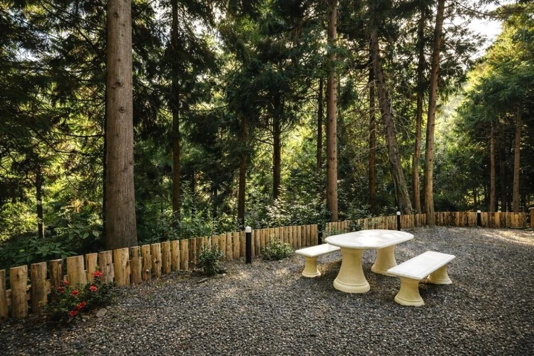 Terreno para Venda em São Vicente Foto 3