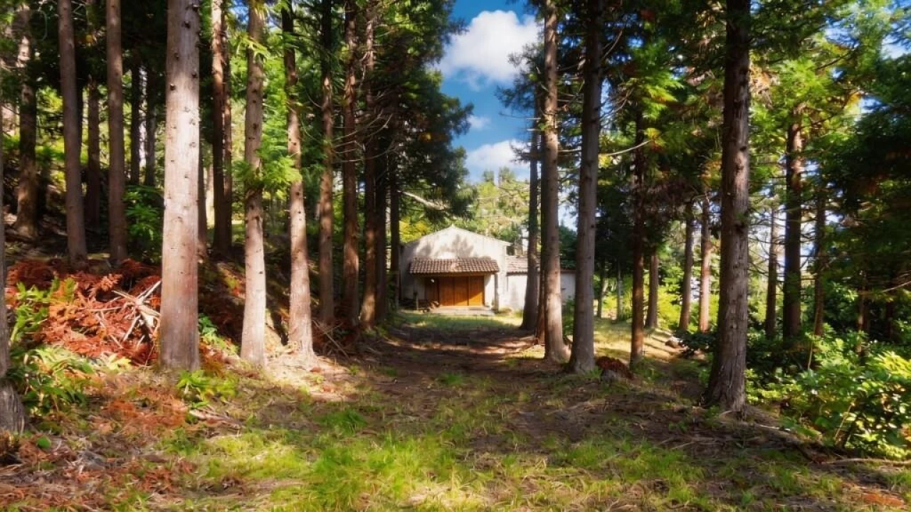 Terreno para Venda em São Vicente Foto 21