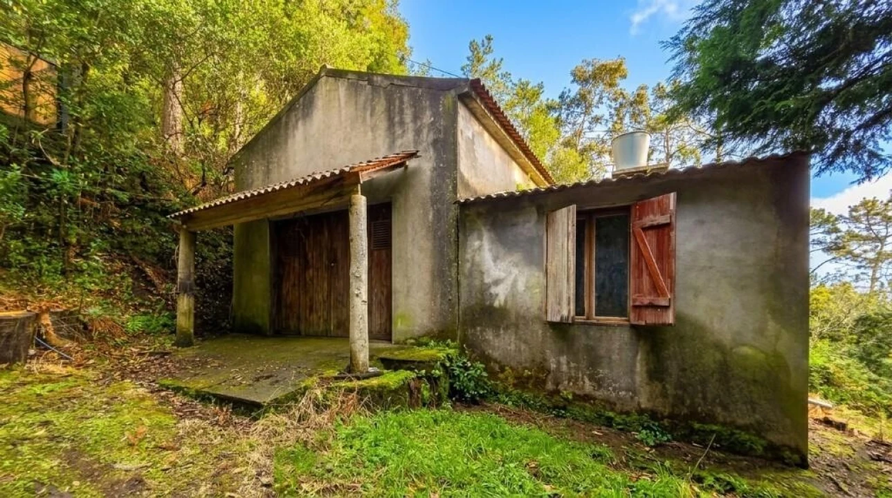 Terreno para Venda em São Vicente Foto 22