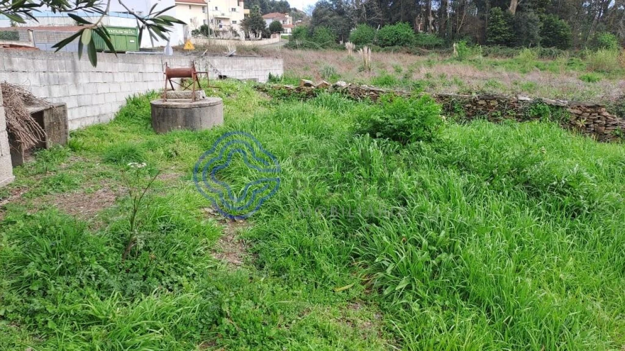 Terreno para Venda em Campo e Sobrado Foto 5