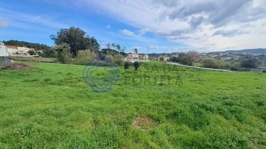 Terreno para Venda em Campo e Sobrado Foto 7