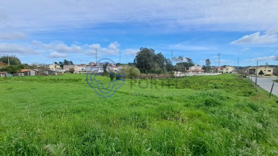 Terreno para Venda em Campo e Sobrado Foto 9