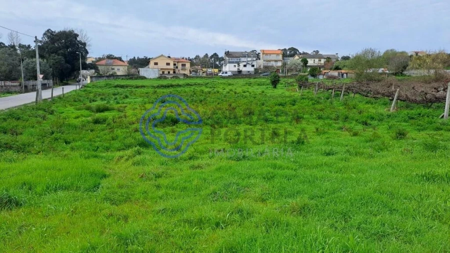 Terreno para Venda em Campo e Sobrado Foto 11