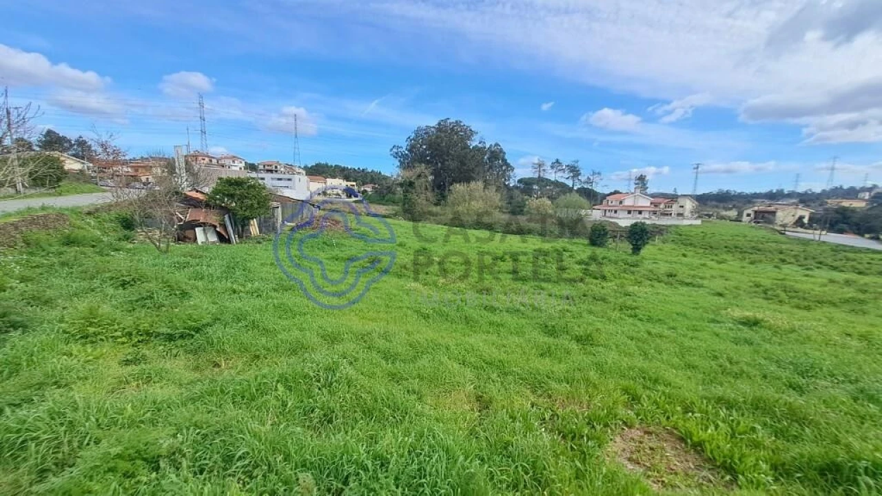 Terreno para Venda em Campo e Sobrado Foto 8