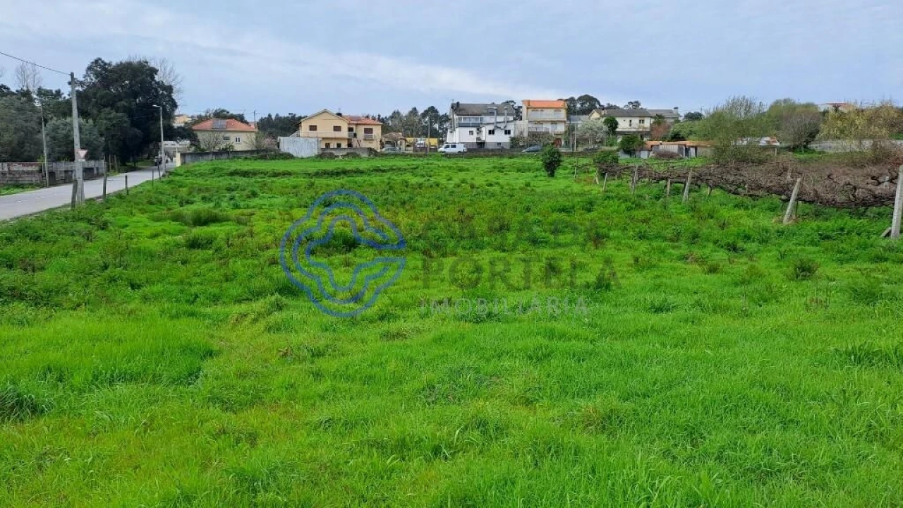Terreno para Venda em Campo e Sobrado Foto 11