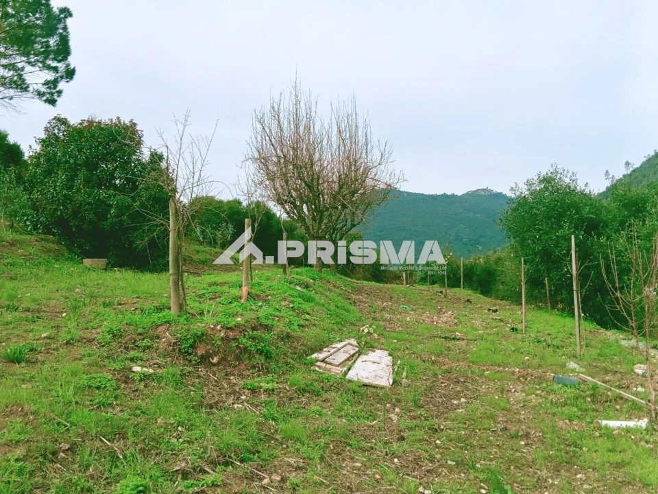 Terreno para Venda em Vila Velha de Rodão Foto 4