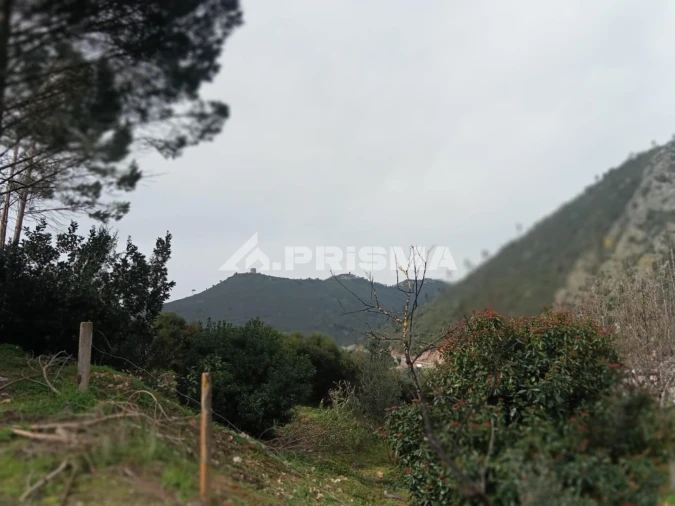 Terreno para Venda em Vila Velha de Rodão Foto 21