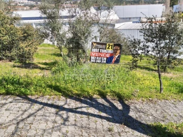 Terreno para Venda em Ribeira de Nisa e Carreiras