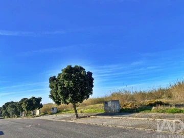 Terreno para Venda em Silveira