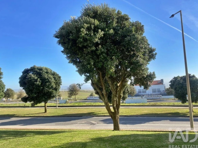 Terreno para Venda em Silveira Foto 15