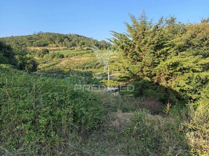 Moradia T2 para Venda em Roliça Foto 3