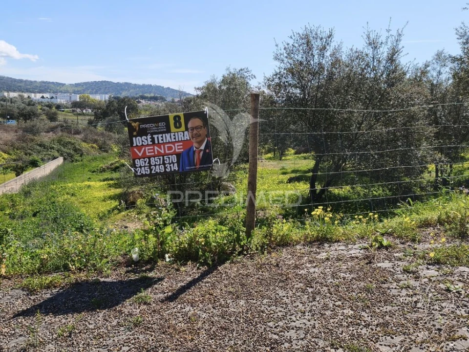 Terreno para Venda em Ribeira de Nisa e Carreiras Foto 2
