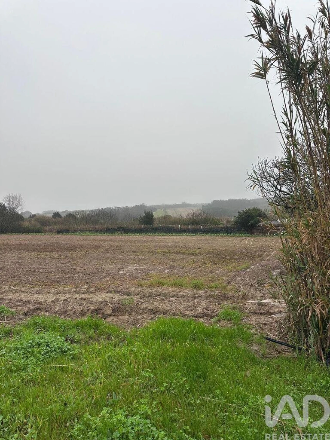 Terreno para Venda em Atouguia da Baleia Foto 6