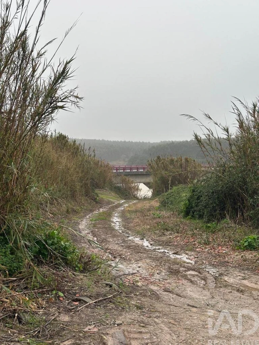 Terreno para Venda em Atouguia da Baleia Foto 14