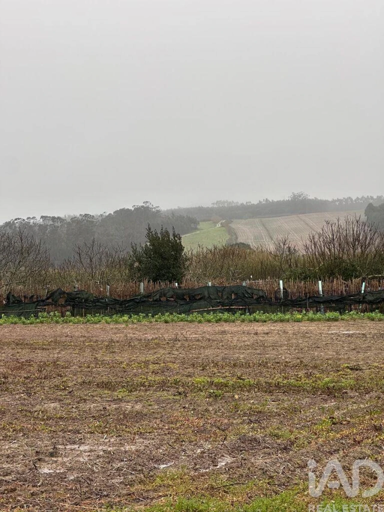 Terreno para Venda em Atouguia da Baleia Foto 15