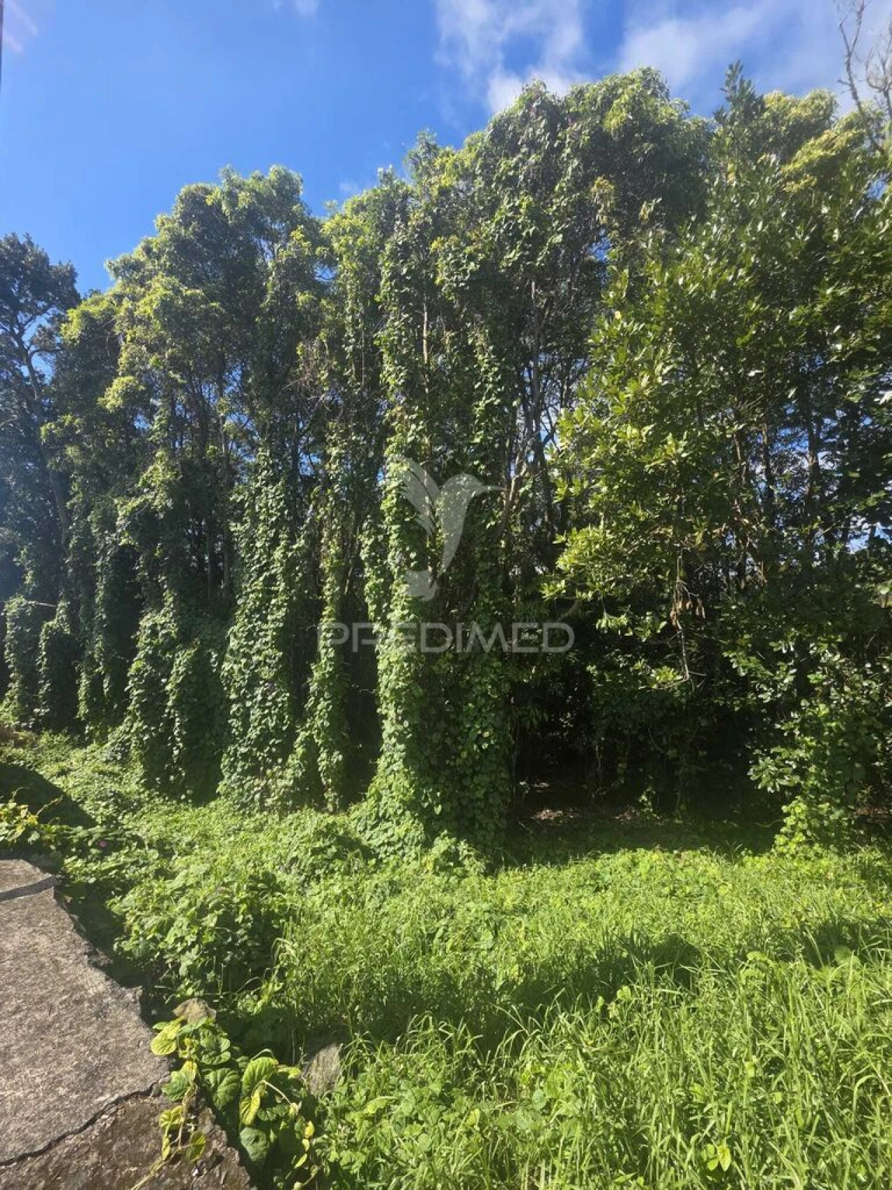 Terreno para Venda em Angra (São Pedro) Foto 2