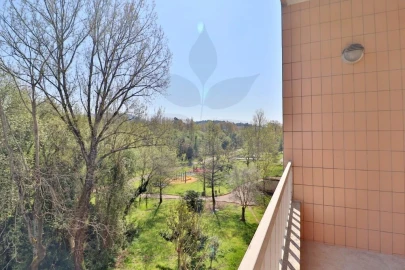 Apartamento T2 para Venda em Palmeira