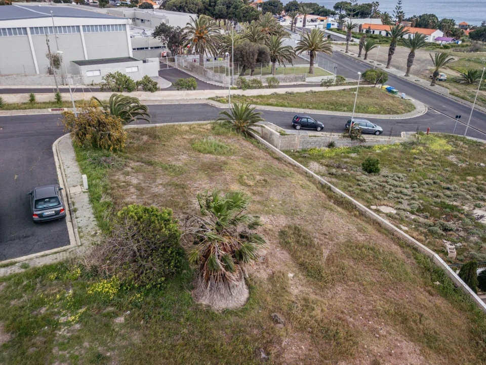 Terreno para Venda em Porto Santo Foto 3