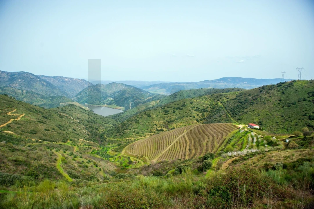 Quinta T3 para Venda em Vila Nova de Foz Côa Foto 9