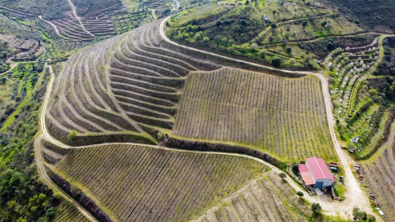 Quinta T3 para Venda em Vila Nova de Foz Côa Foto 56