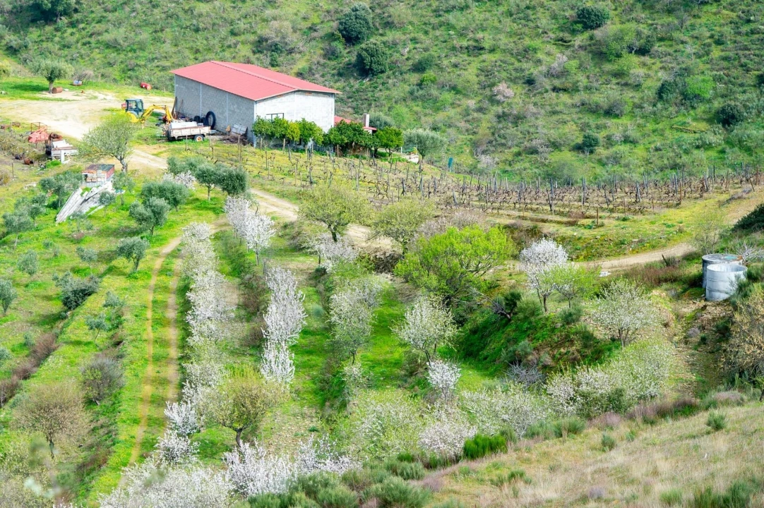 Quinta T3 para Venda em Vila Nova de Foz Côa Foto 41