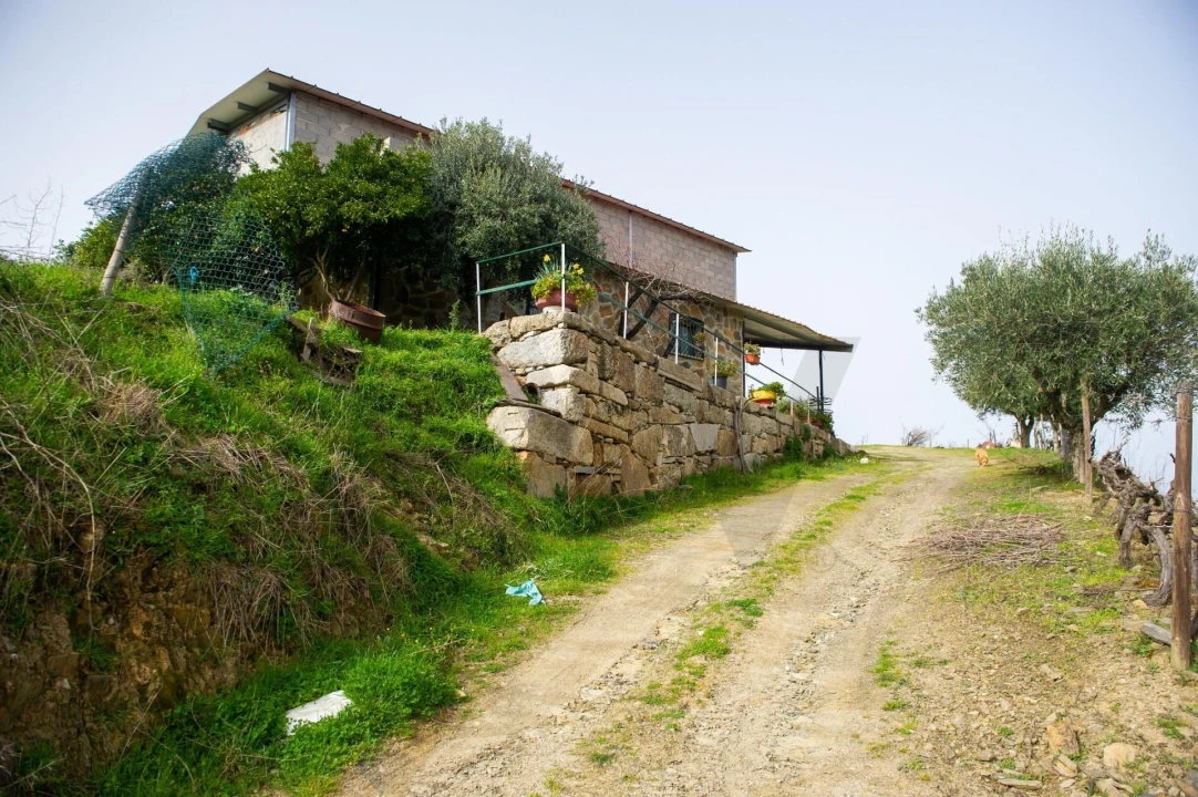Quinta T3 para Venda em Vila Nova de Foz Côa Foto 48