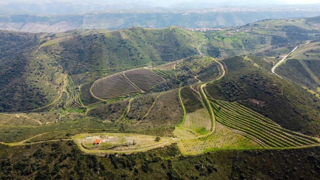 Quinta T3 para Venda em Vila Nova de Foz Côa Foto 34