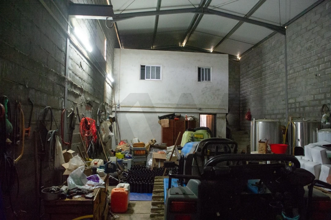 Quinta T3 para Venda em Vila Nova de Foz Côa Foto 58